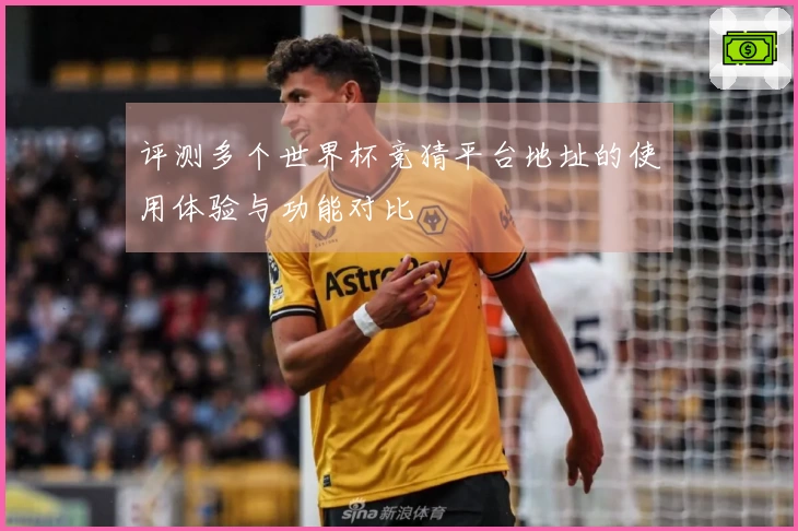 评测多个世界杯竞猜平台地址的使用体验与功能对比