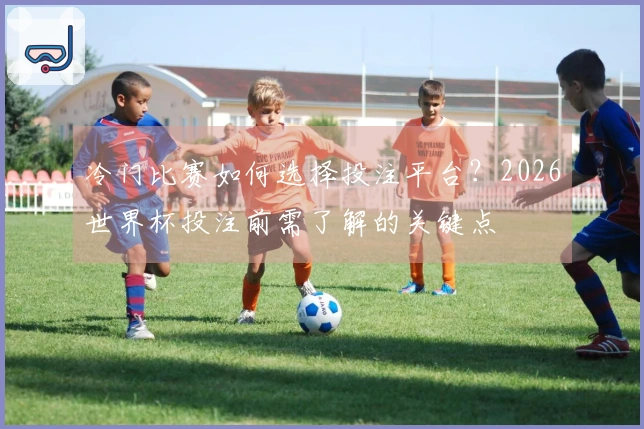 冷门比赛如何选择投注平台？2026世界杯投注前需了解的关键点