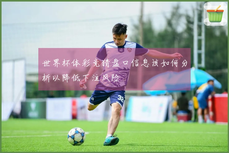 世界杯体彩竞猜盘口信息该如何分析以降低下注风险