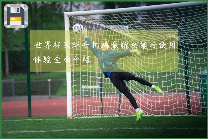 世界杯买球手机端最新功能与使用体验全面介绍