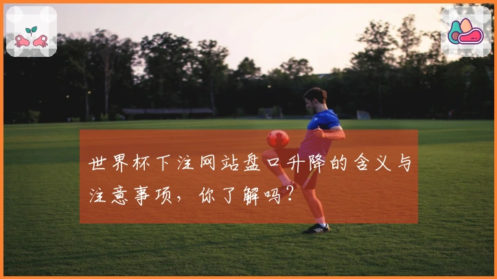 世界杯下注网站盘口升降的含义与注意事项，你了解吗？