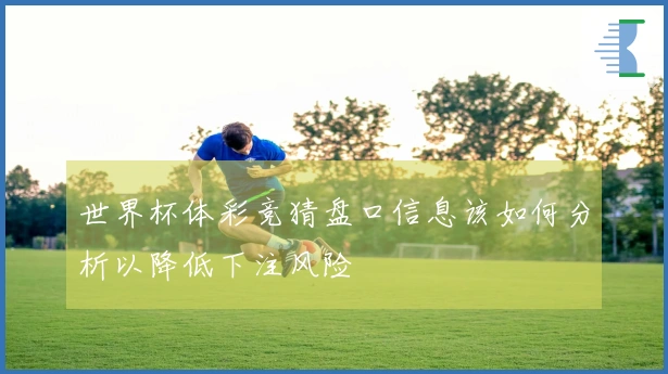 世界杯体彩竞猜盘口信息该如何分析以降低下注风险