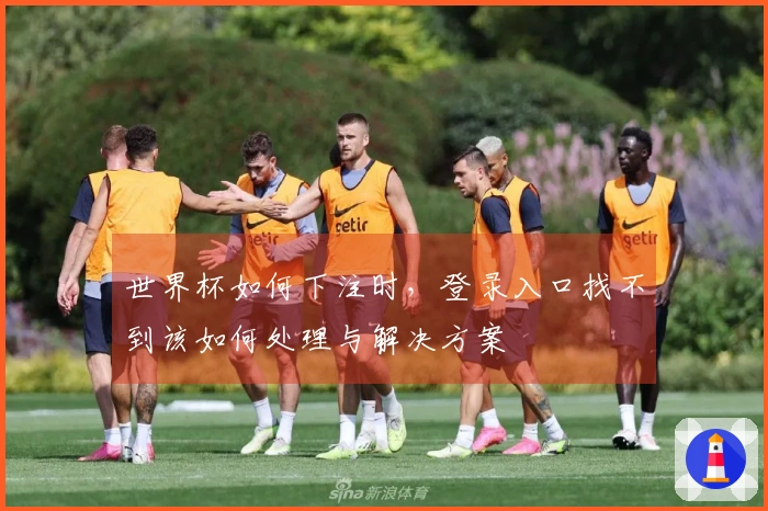 世界杯如何下注时，登录入口找不到该如何处理与解决方案