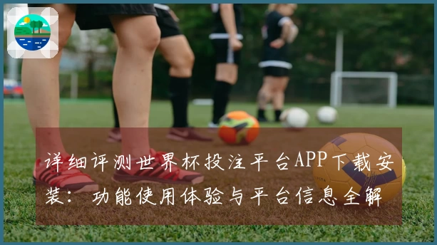 详细评测世界杯投注平台APP下载安装：功能使用体验与平台信息全解析