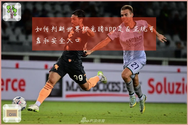 如何判断世界杯竞猜app是否正规可靠和安全入口