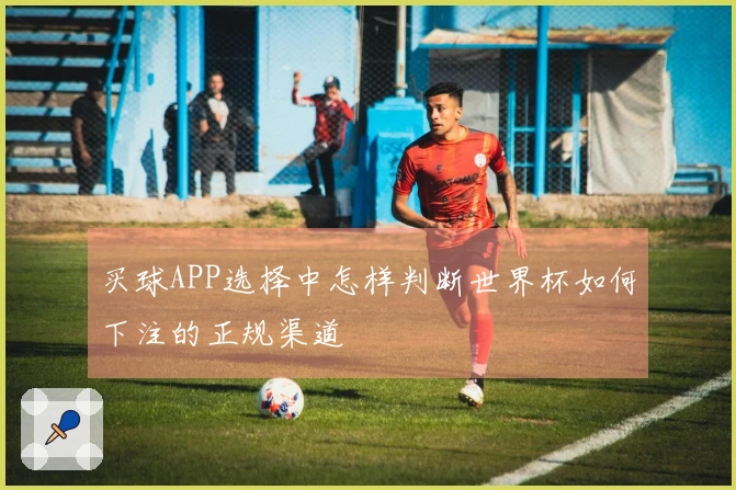 买球APP选择中怎样判断世界杯如何下注的正规渠道