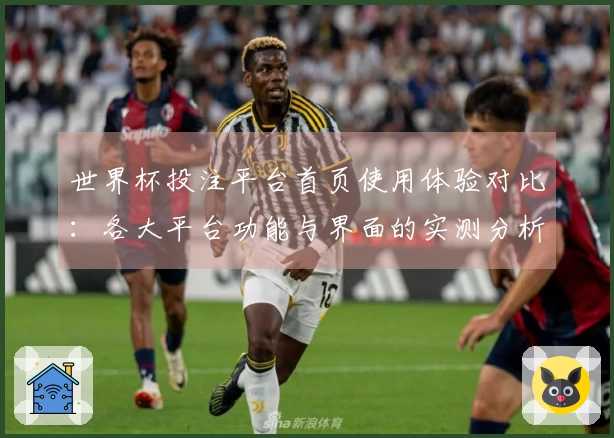 世界杯投注平台首页使用体验对比：各大平台功能与界面的实测分析