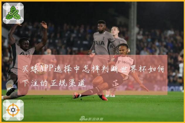 买球APP选择中怎样判断世界杯如何下注的正规渠道