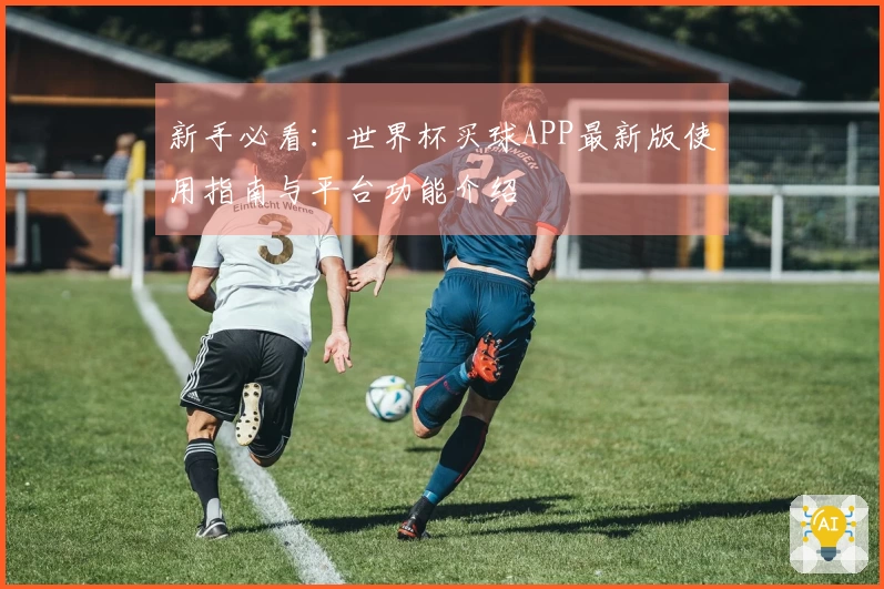 新手必看：世界杯买球APP最新版使用指南与平台功能介绍