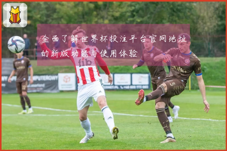 全面了解世界杯投注平台官网地址的新版功能与使用体验