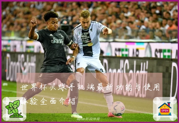世界杯买球手机端最新功能与使用体验全面介绍