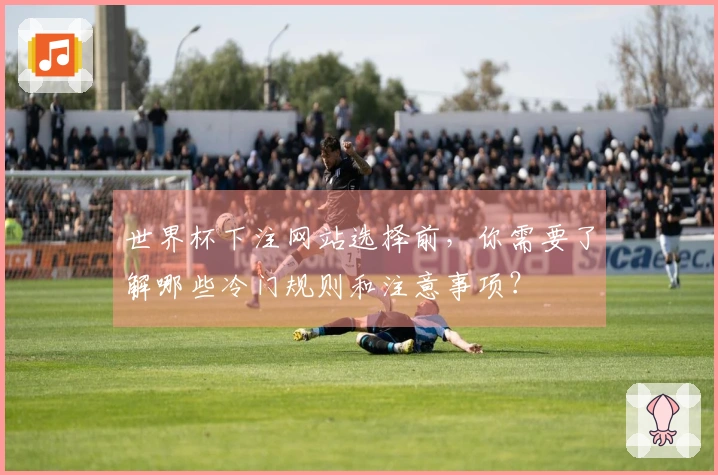世界杯下注网站选择前，你需要了解哪些冷门规则和注意事项？