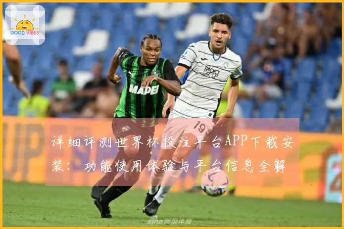 详细评测世界杯投注平台APP下载安装：功能使用体验与平台信息全解析