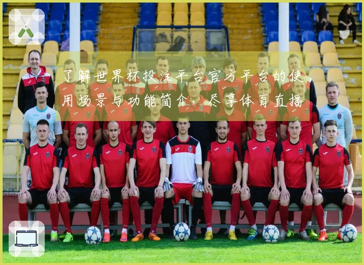 了解世界杯投注平台官方平台的使用场景与功能简介，尽享体育直播新体验