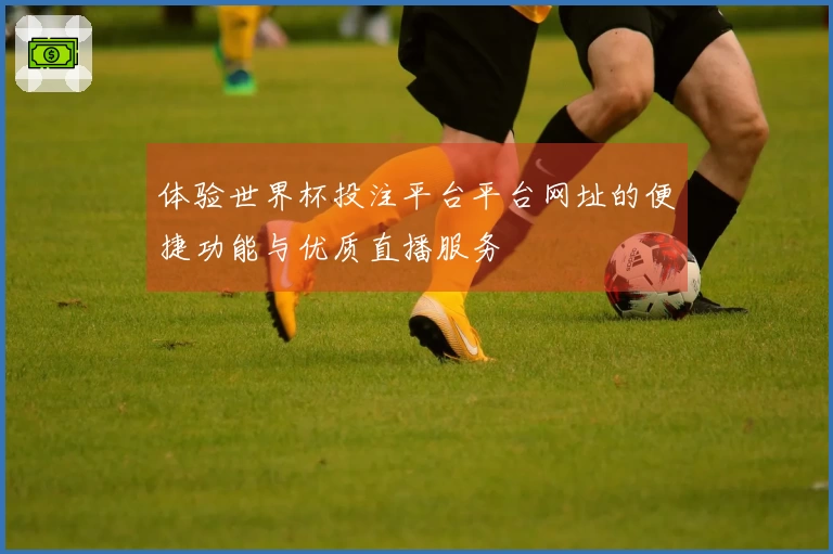 体验世界杯投注平台平台网址的便捷功能与优质直播服务