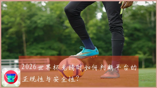 2026世界杯竞猜时如何判断平台的正规性与安全性？